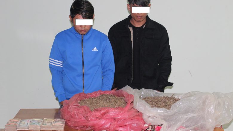 उदयपुरमा ६ केजी गाँजा र ५ लाख बढी नगद सहित दुई पक्राउ