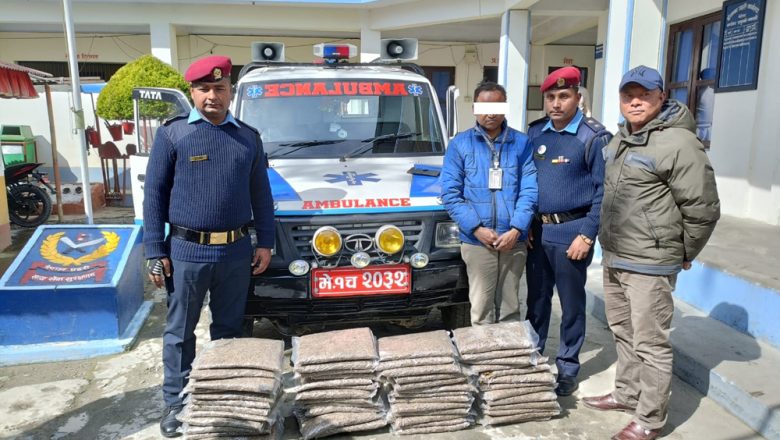 गाँजा बोकेको एम्बुलेन्स सहित चालक पक्राउ