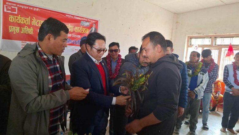 बेलकामा माओवादी प्रवेशको लर्को