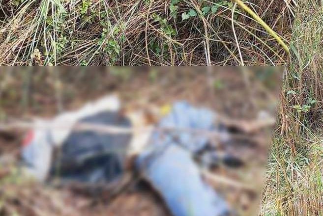 कटारीमा टाउको र शरीर  फरक–फरक अवस्थामा पुरुषको शव फेला