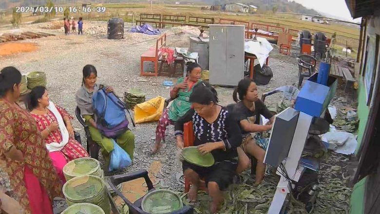 कोपिला वन उपभोक्ता समूहका महिलाहरु सालको पातबाट आम्दानी गर्दै