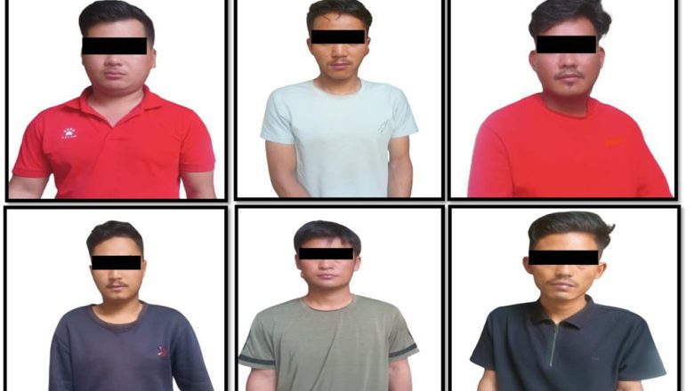 १३ वटा सहकारी चोरी गर्ने ग्याङ्ग पक्राउ