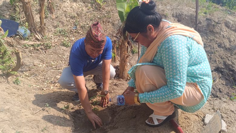 अमर प्रहरीलाई सम्झँदै बृक्षा रोपन