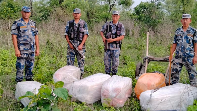उदयपुरमा एकै दिन ५ सय ८० किलो गाँजा बरामद