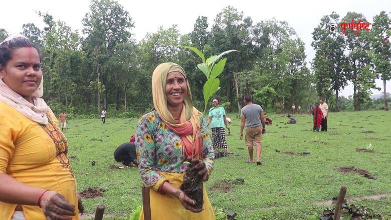 उदयपुरमा त्रिफला बृक्षराेपण गरियाे