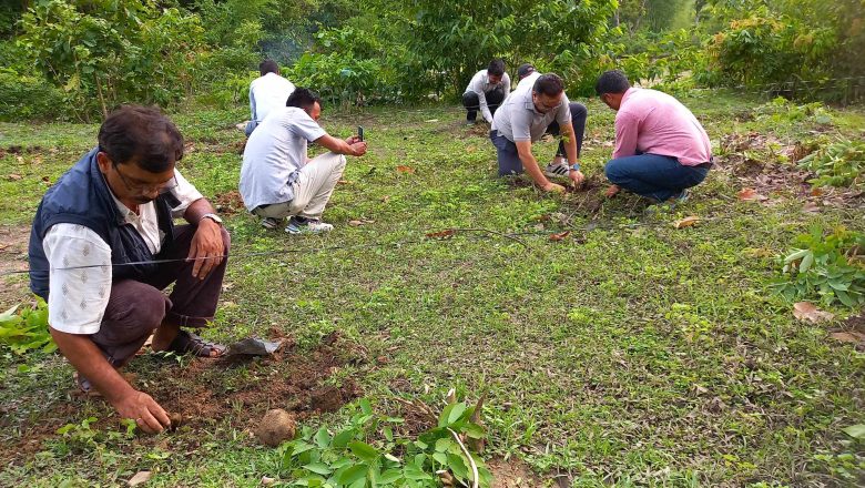 चुरे संरक्षण दिवसमा उदयपुरमा गरियाे बृक्षराेपण