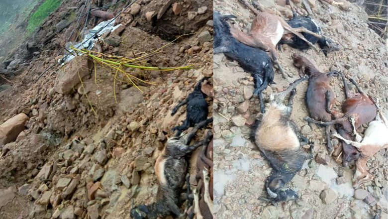बेलकाको खारखोलामा पहिरोले खोर सहित ९ ओटा बाख्रा बगायो, दुईघर जोखिममा
