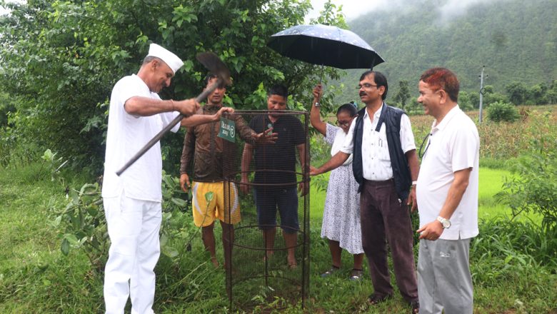 करमगाछीदेखि गणेश मन्दिरसम्म वृक्षारोपण