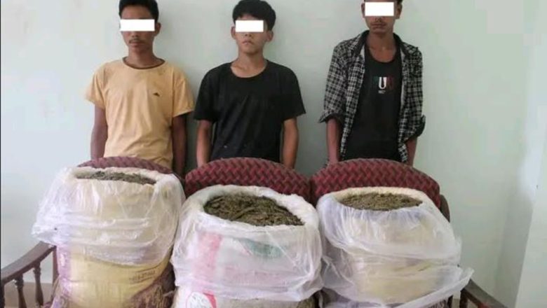 उदयपुरमा ४९ केजी गाँजासहित तीन जना पक्राउ
