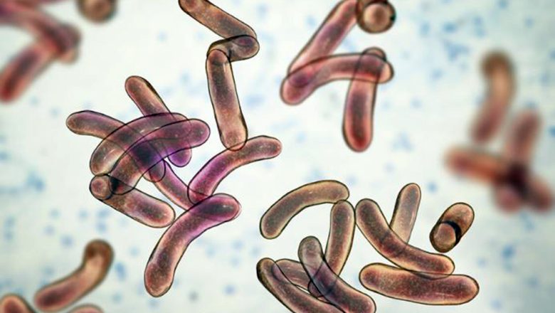 देशभर १० जनामा हैजा सङ्क्रमण, सतर्कता अपनाउन आग्रह