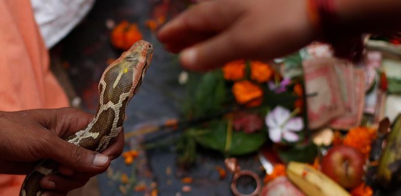 आज नागपञ्चमी: परम्परा र विश्वासको उत्सव