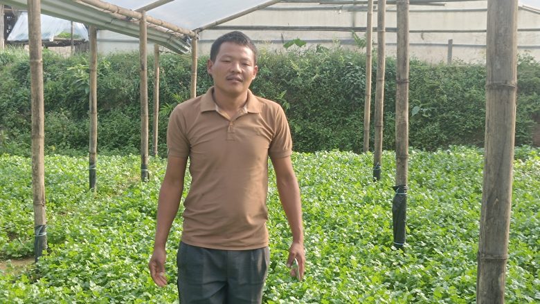 धनिया बेचेको आम्दानीबाट मख्ख त्रिनपा १५ का युवा कृषक