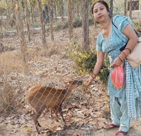 कटारीमा बन्यजन्तु उद्धार तथा उपचार केन्द्र स्थापना
