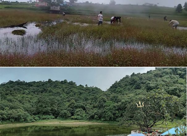 सरसफाईले फेरियो रौता पोखरीको मुहार