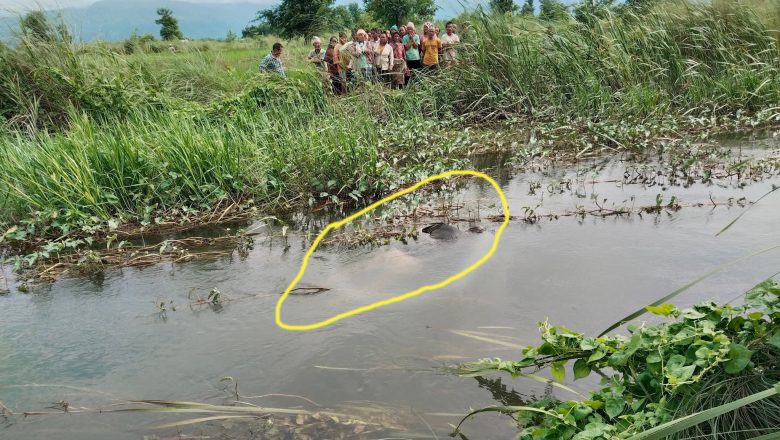 उदयपुरमा जमेको पानी (होली) मा डुबेर एक पूरुषको मृत्यु