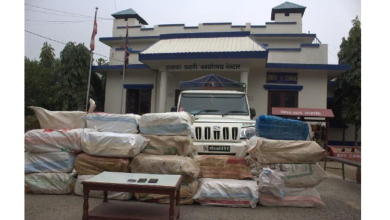 उदयपुरमा ७ सय किलो बढी गाँजासहित दुई युवक पक्राउ