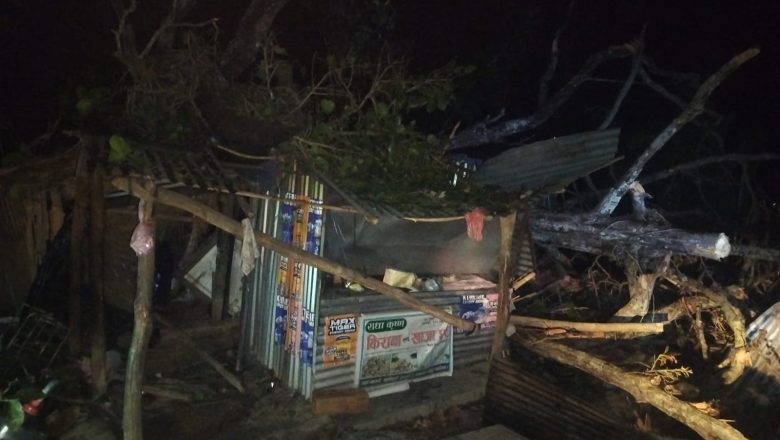 उदयपुरमा हुन्डरीले घरमाथि रुख ढाल्दा एकजनाको मृत्यु पाँच घाइते