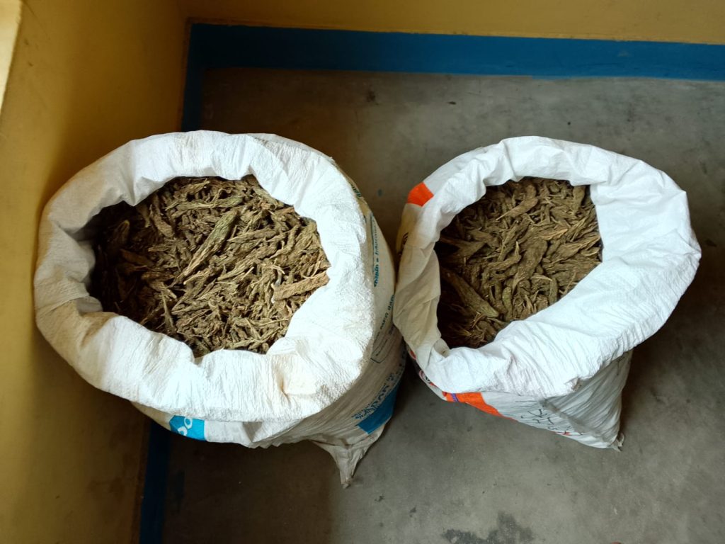 उदयपुरमा २७ किलो गाँजा सहित अटो चालक पक्राउ