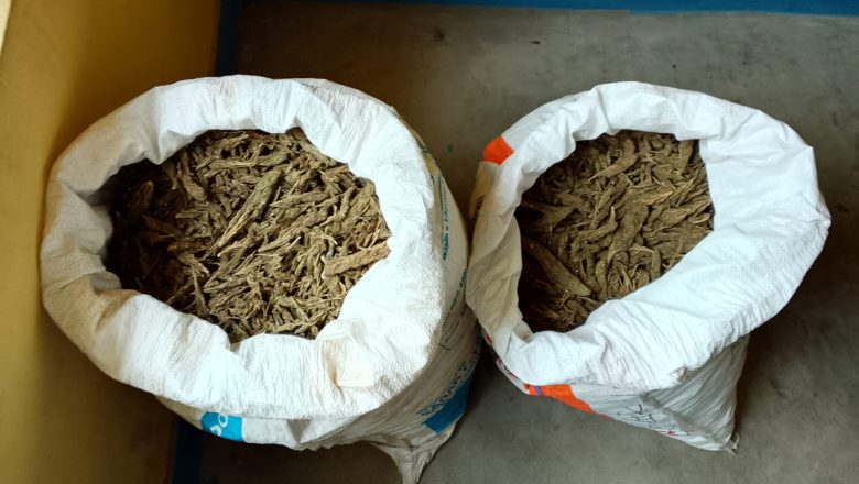 उदयपुरमा २७ किलो गाँजा सहित अटो चालक पक्राउ