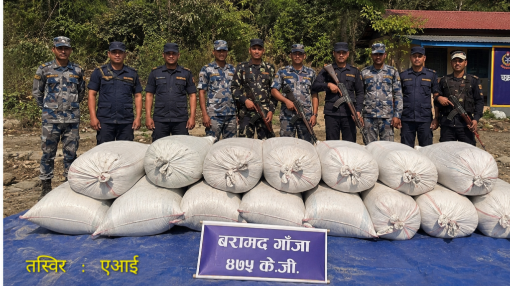 उदयपुर–सुनसरी सीमामा ४७५ केजी गाँजा फेला