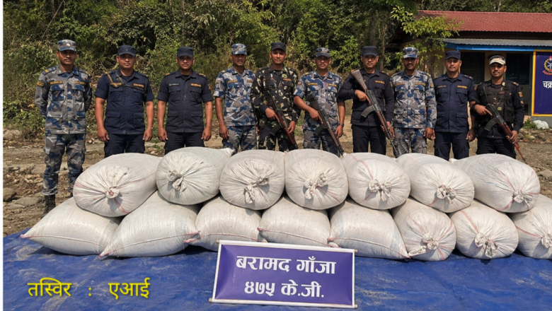 उदयपुर–सुनसरी सीमामा ४७५ केजी गाँजा फेला