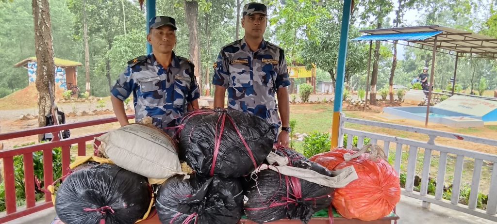 कटारीमा १३० किलो गाँजा बरामद, तस्कर सामान छाडेर फरार
